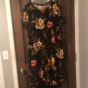 Very Soft Honey & Lace Dress 2X